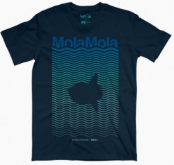 mola mola  large